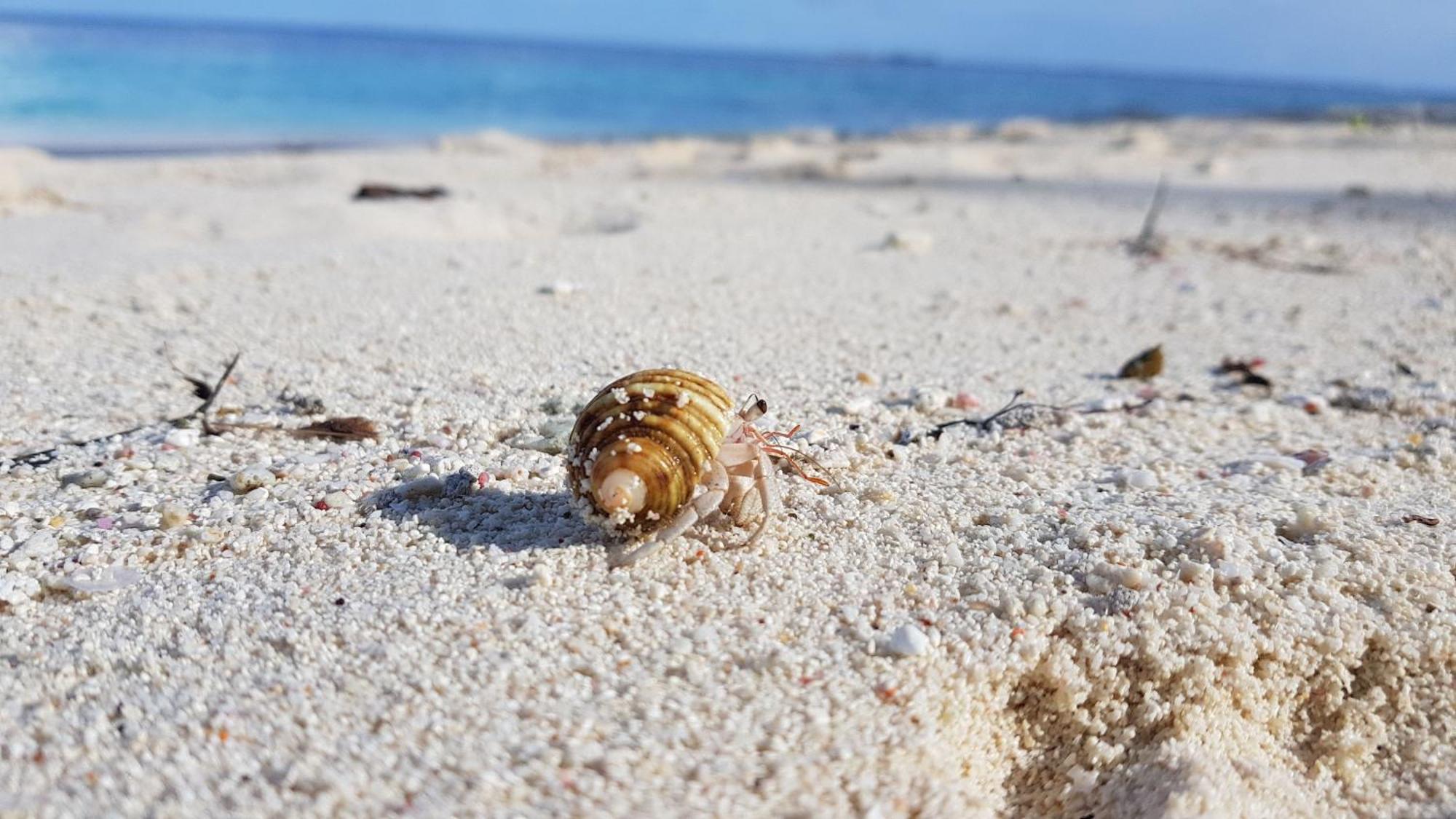 Kamadhoo Inn Exteriér fotografie